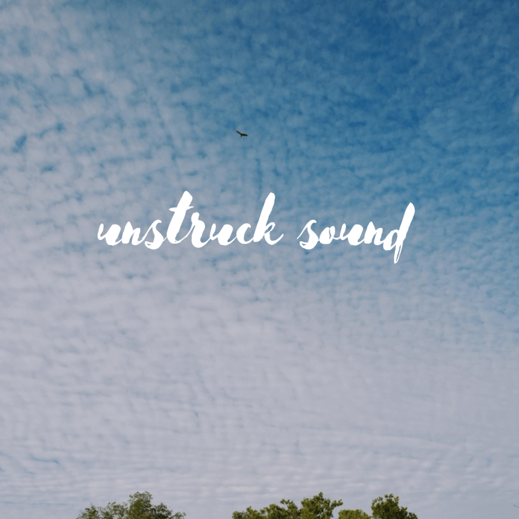 Picture of sky with rippled clouds, a black bird soaring, and words: unstruck sound written across